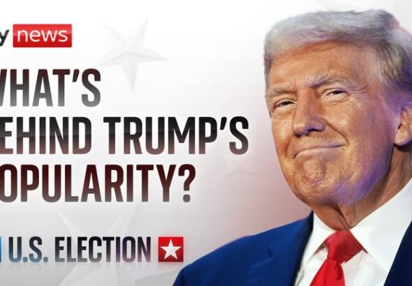 skynews-donald-trump-explainer_6705265